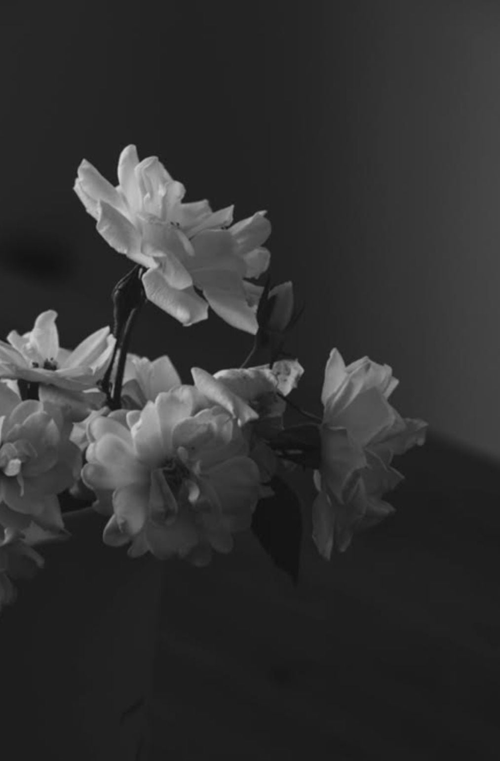 OLD SOULS - Tamar Green