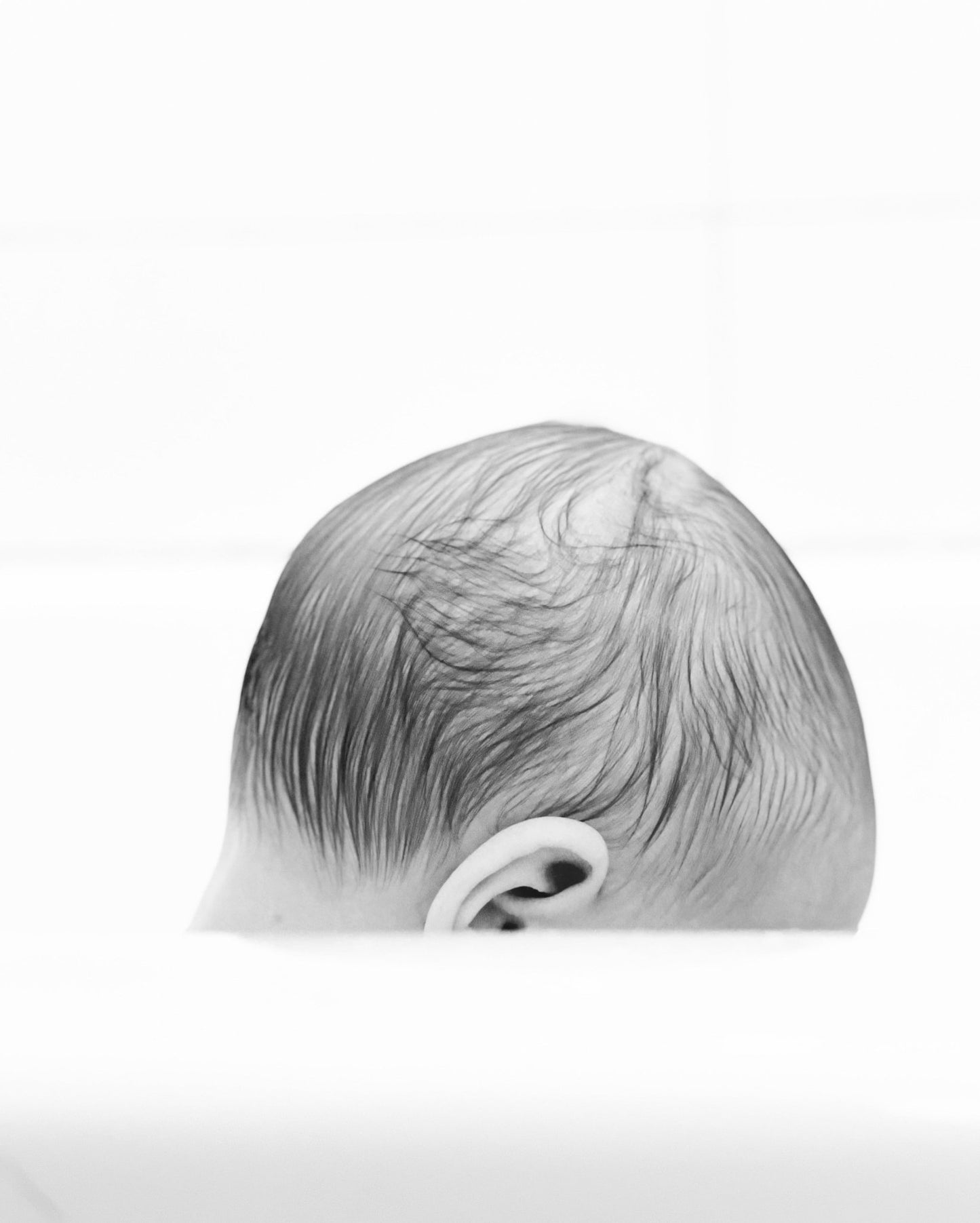 Black and white fine art photography print of a baby's soft hair from behind in tender intimate close-up against bright white background, by Israeli artist Tamar Green