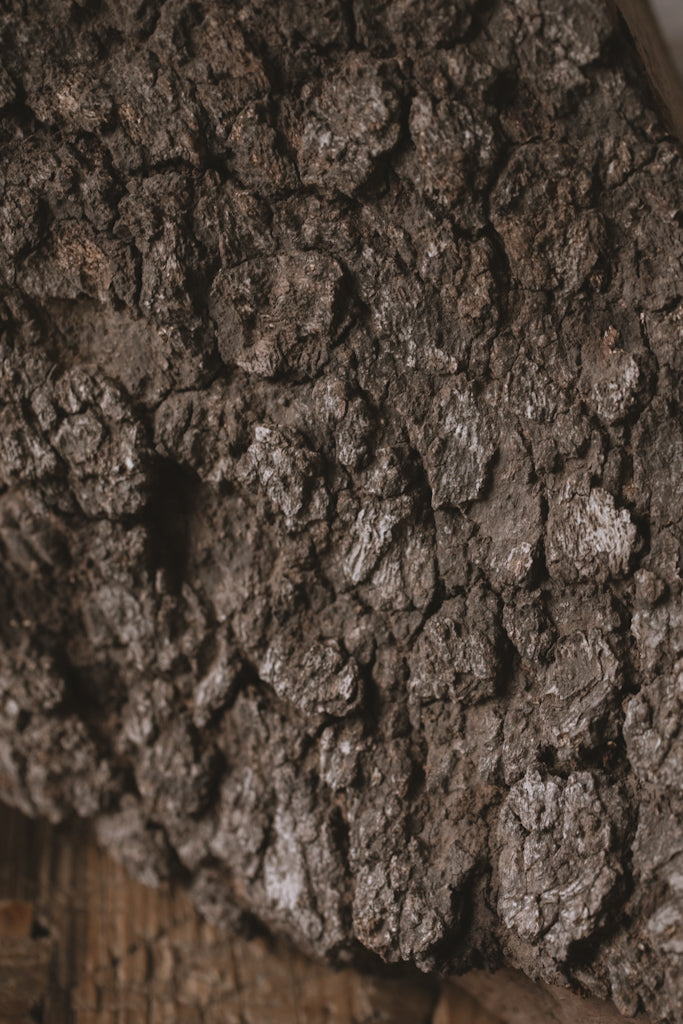 NYP - Print 8