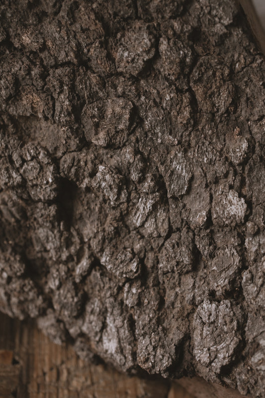 NYP - Print 8