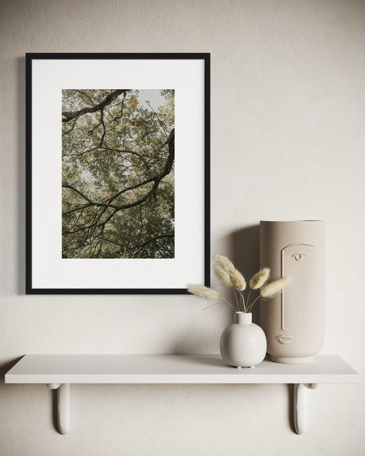 NYP - Print 3