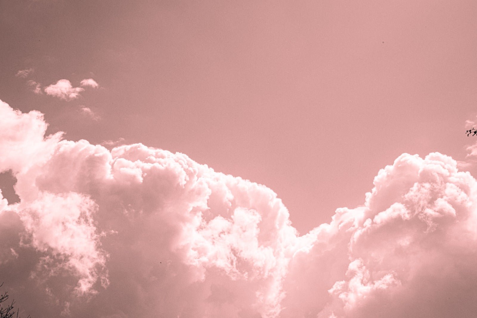 COTTON CANDY SKY - Tamar Green